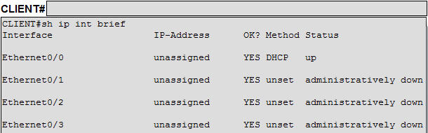 Ticket1_CLIENT_sh_ip_int_brief.jpg